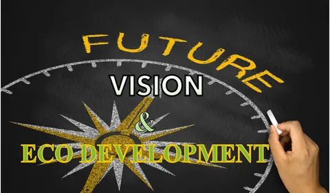 Cover vidéo vision Rubinex